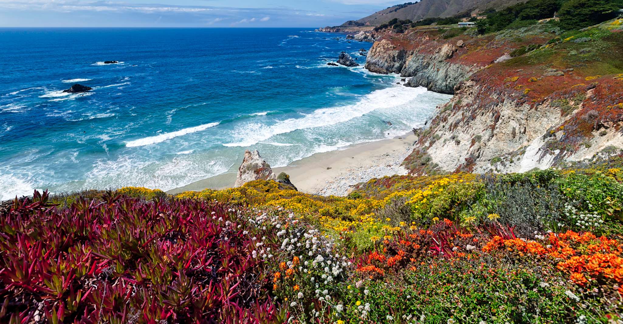 Big Sur, Sightseeing Tour with 4 to 5 Stops - Housity