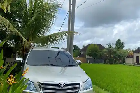 Recolha no aeroporto de Bali Denpasar: Transfere para o hotel em Ubud