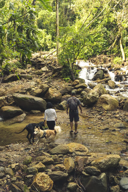 Jungle Trek, Multiday hike near Medellin