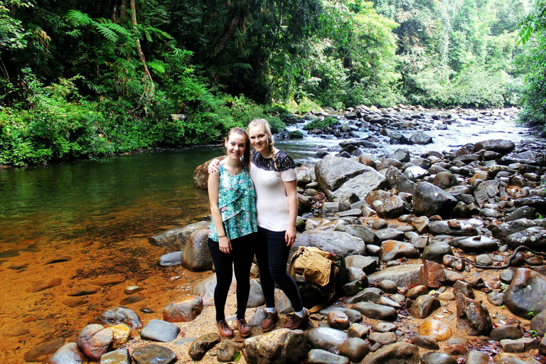 From Bentota: Sinharaja Forest Trekking with Waterfall Bath Pick up from Ahungalla / Bentota