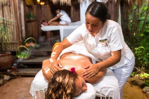 From Playa del Carmen: Xel-Há All-Inclusive Park Xel-Há Park All-Inclusive Ticket with Transportation