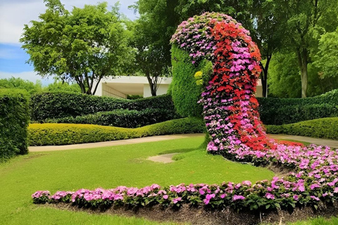 Città del Messico: Esplora i giardini messicani e la città di TepoztlanTour della città di Messico: Esplora i giardini messicani e la città di Tepoztlan