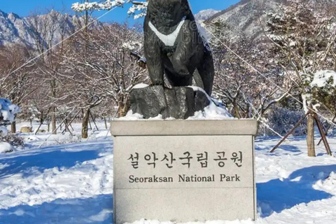 From Seoul: Seoraksan, Naksansa & Naksan Beach Private Tour Group Tour Option Only Thursday