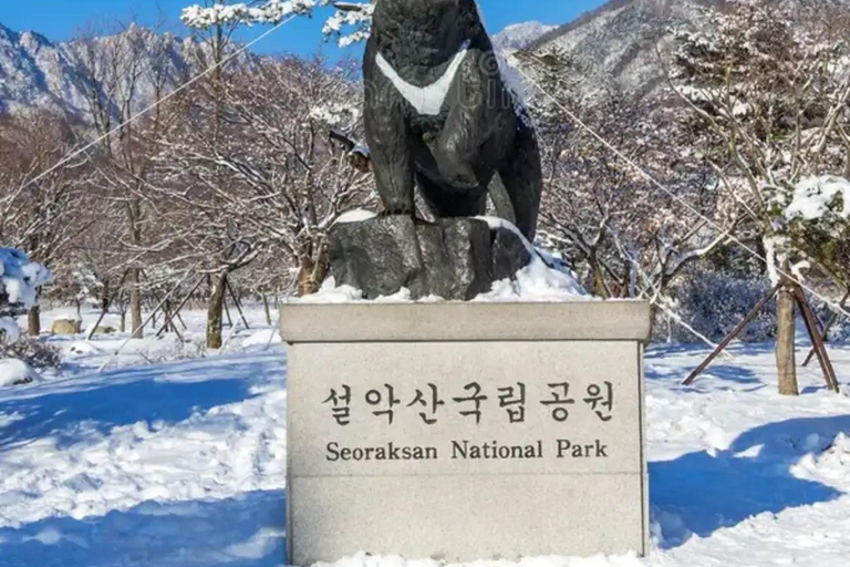 From Seoul: Seoraksan, Naksansa & Naksan Beach Private Tour Group Tour Option Only Thursday