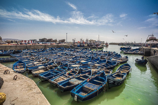 From Marrakesh: Small Group To Essaouira With Opt Activities