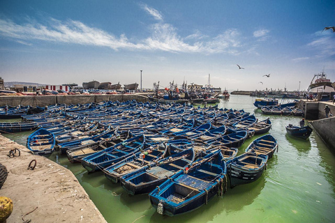 Marrakech: Guidad dagsutflykt till Essaouira med besök hos Co-Op