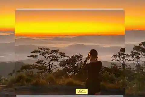 Dalat: Sunrise Trekking and Cloud Hunting experience