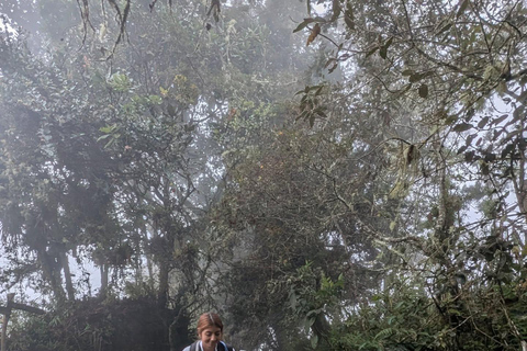 Hike through the Cloud Forest in Choachi, from Bogota