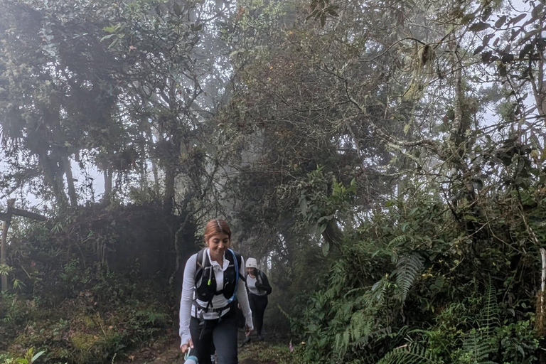 Hike through the Cloud Forest in Choachi, from Bogota