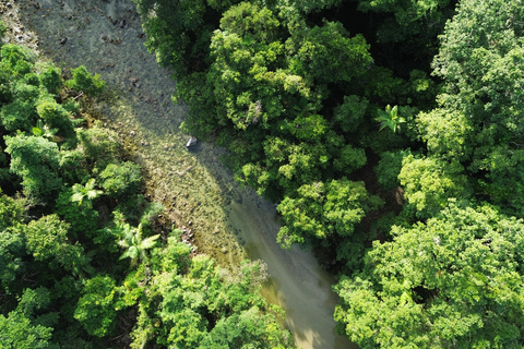 Private Great Barrier Reef and Mossman Gorge Tour