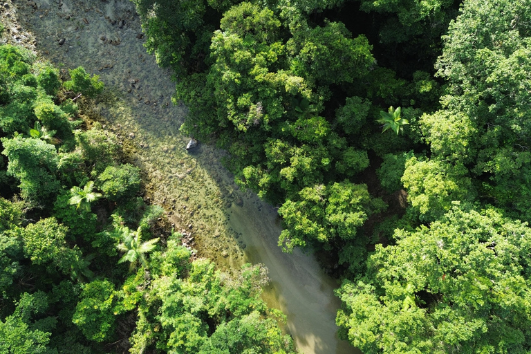 Private Great Barrier Reef and Mossman Gorge Tour