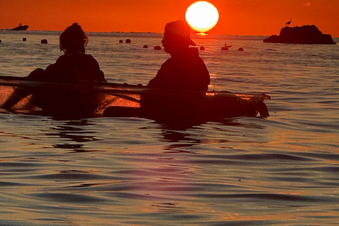 Golfo Aranci: transparent or traditional kayak, dolphins, and aperitif Sunset Tour in a Traditional Kayak with Aperitivo and Dolphins