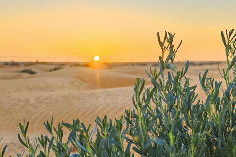 Dżerba: Zachód słońca, wschód słońca i jedna noc w berberyjskim namiocie.Dżerba: zachód słońca, wschód słońca i jedna noc w berberyjskim namiocie.