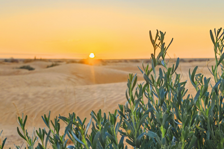 Dżerba: Zachód słońca, wschód słońca i jedna noc w berberyjskim namiocie.Dżerba: zachód słońca, wschód słońca i jedna noc w berberyjskim namiocie.