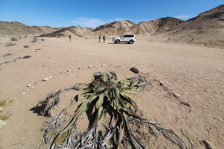 Swakopmund: Namib Desert Sunrise, Seals & Sandwich Harbour