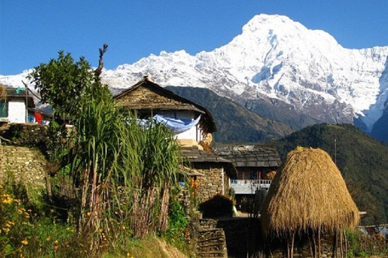 Desde Pokhara: Excursión privada de 4 días a Poon Hill con guíaTour privado con comidas incluidas.