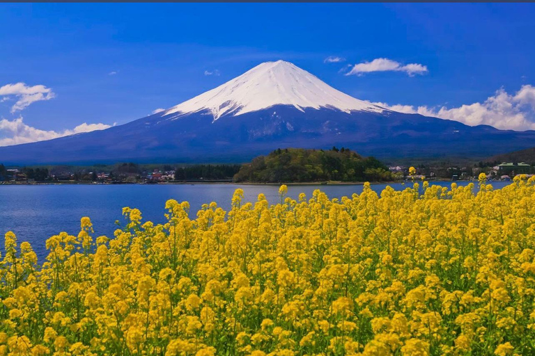 Mt.Fuji Private tour by car with pick and drp from Tokyo Tokyo Private1-Day MT Fuji by Charter by driver