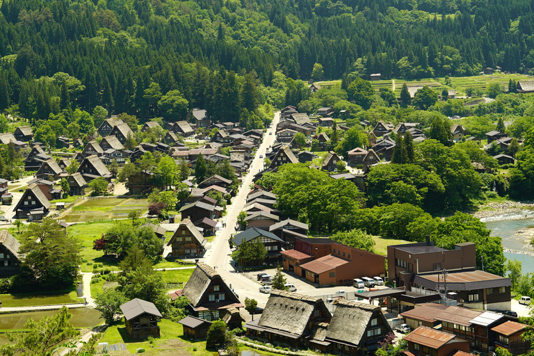 Nagoya: Shirakawa-go & Takayama Guided Day Trip