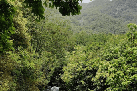 Katmandu: Tarebhir vandringsäventyr med spa-alternativ