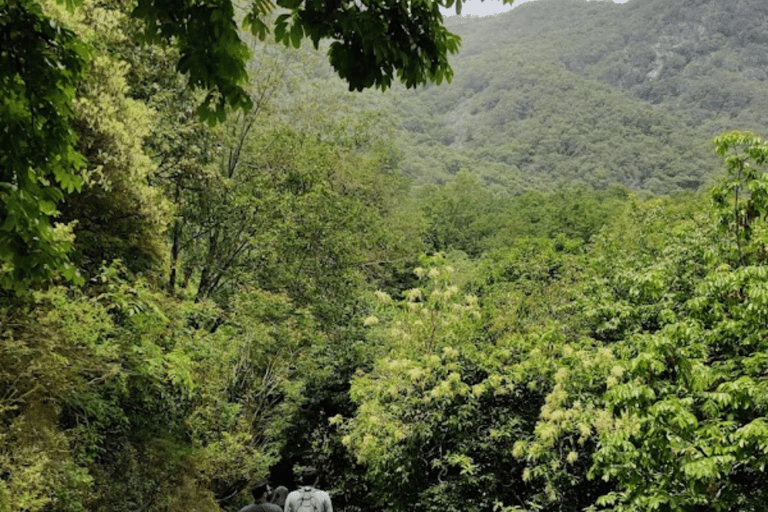 Katmandu: Tarebhir vandringsäventyr med spa-alternativ