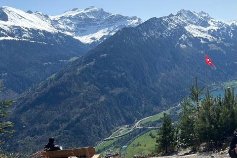 Interlaken: Guided Hike to Harder Kulm with Swiss Triathlete