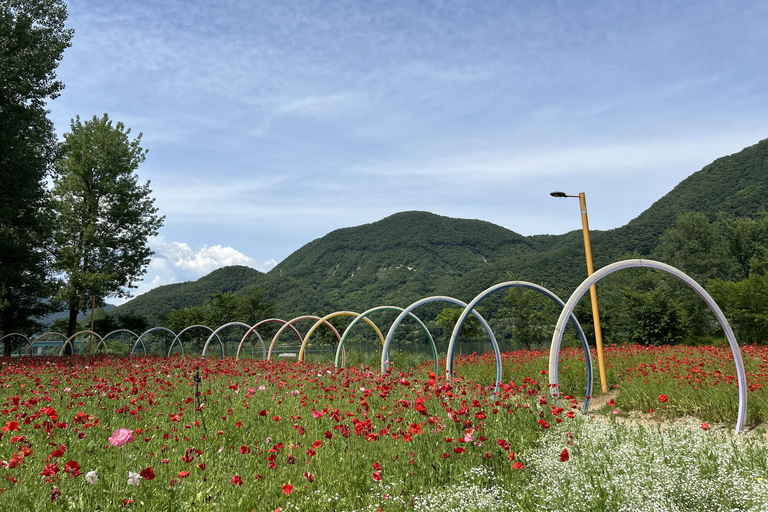 Excursión de un día a Gapyeong: crucero por el río hasta la fiesta de las flores de JarasumExcursión de un día a Gapyeong: Crucero por el río hasta la Fiesta de las Flores de