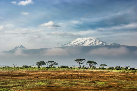 Mt. Kilimandjaro : Randonnée d&#039;une journée sur le Kilimandjaro par la route de Marangu