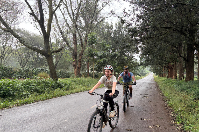 From Moshi: Kilimanjaro Mweka Gate Guided Cycling Tour
