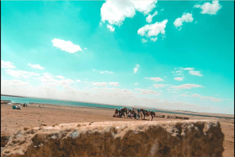 From Cairo: 4x4 Desert Safari, Waterfalls & Magic Lake Shared Tour: Wadi El Rayan, Magic Lake & Lake Qarun, Jeep