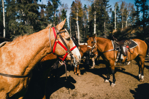 Goyave: Jungle & River Horseback Riding Adventure