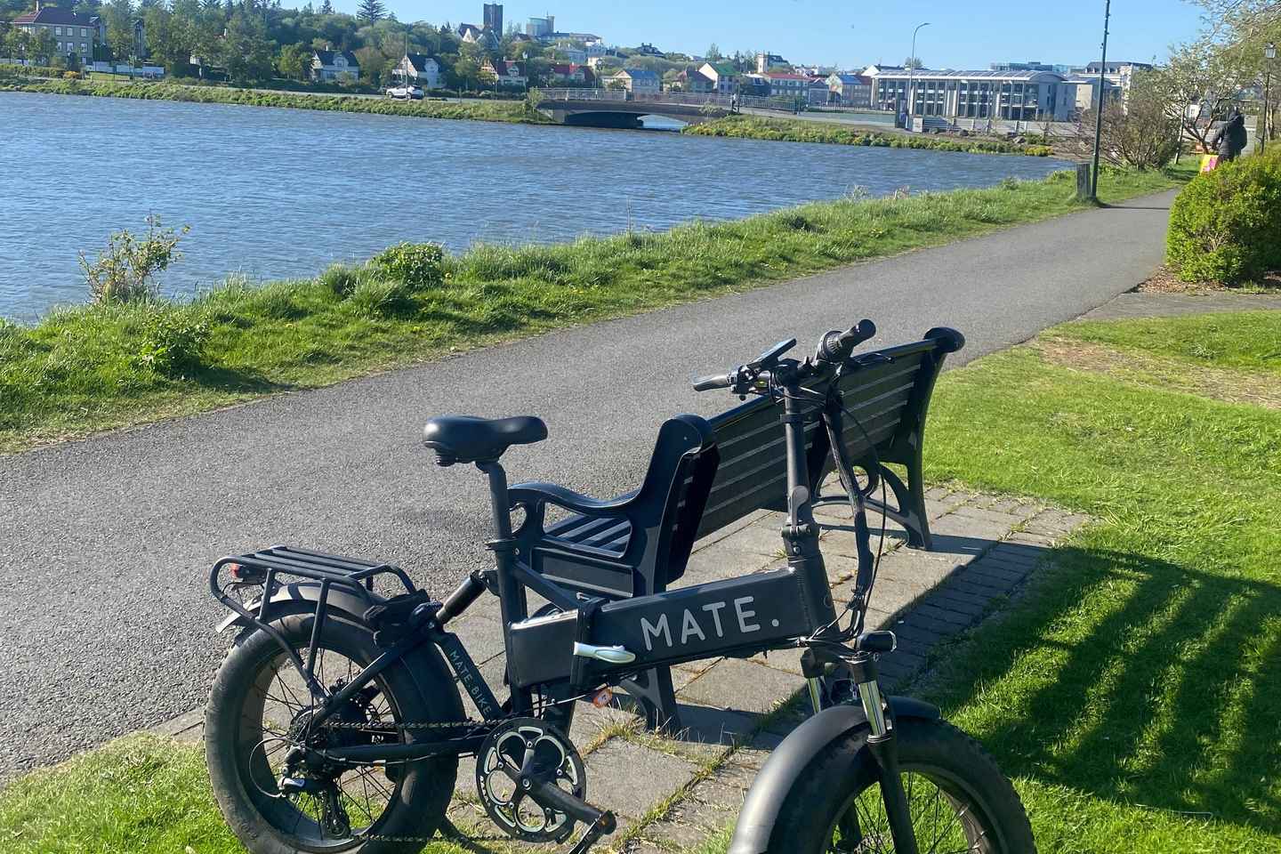 Reykjavik: EBike Tour of Nature, Coast, and City