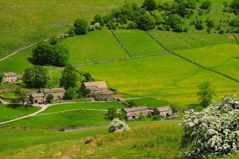 All Creatures Great & Small Tour from Windermere