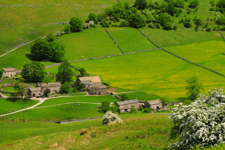 All Creatures Great & Small Tour from Windermere