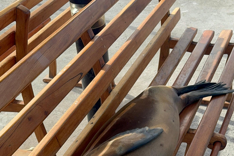 Galapagos - Visite privée en yacht d'une journée à Pinzonyacht privé