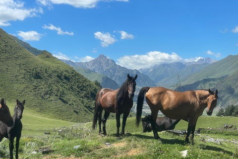 Kazbegi: Paardrijavontuur vanuit Kamers Hotel Kazbegi