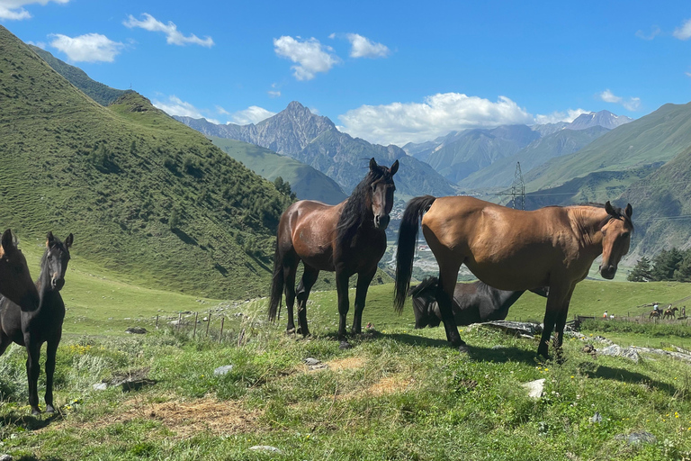 Kazbegi: Paardrijavontuur vanuit Kamers Hotel Kazbegi