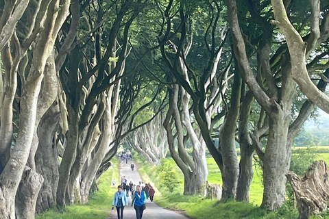 Tour privato della città di Belfast e della Giants causeway