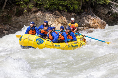 Golden, BC: Kicking Horse River Whitewater Rafting Adventure