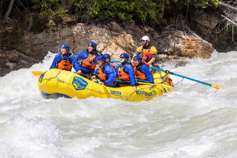 Golden, BC: Kicking Horse River Whitewater Rafting Adventure