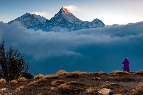 Excursión de 4 días a Poon Hill desde Pokhara