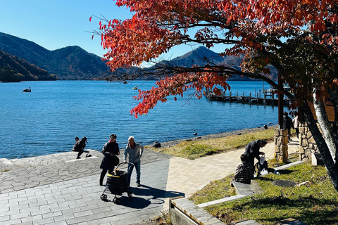From Tokyo: Nikko World Heritage Private Tour with Guide Nikko World Heritage Full Day share Van tour
