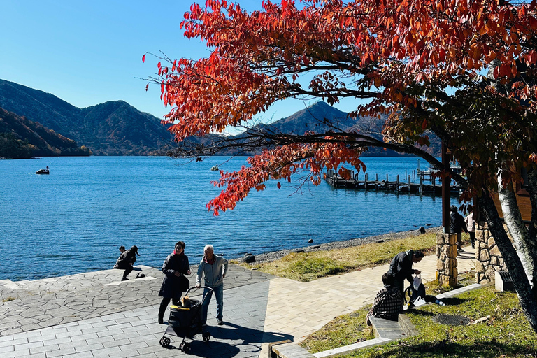 From Tokyo: Nikko World Heritage Private Tour with Guide Nikko World Heritage Full Day share Van tour