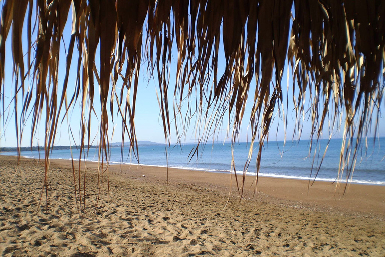 Navetta Sandy Shores: La tua porta d&#039;accesso alla spiaggia di KouroutaNavetta Sandy Shores: la tua porta d&#039;accesso alla spiaggia di Kourouta