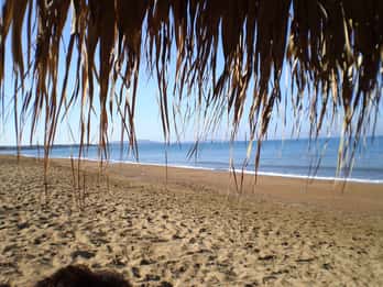 Sandy Shores Shuttle: Your Gateway to Kourouta Beach