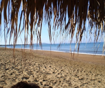 Sandy Shores Shuttle: Your Gateway to Kourouta Beach