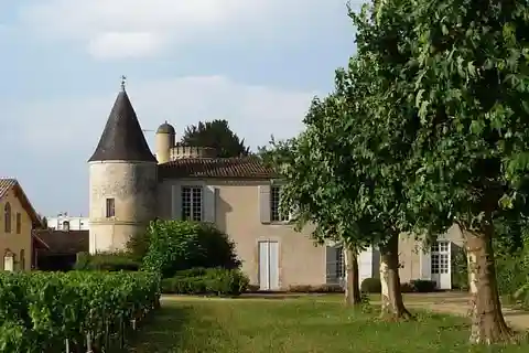 Libourne: visita e degustação de vinhos no coração de Libourne