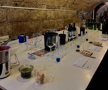 Bordéus: Workshop de mistura de vinhos com degustação e lembrança