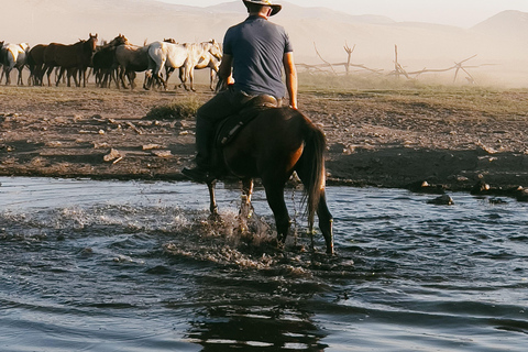 Nashville: 2-Hour Horseback Ride Through Creek Trails
