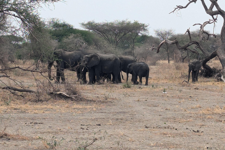 FOUR DAYS BUDGET CAMPING SAFARI