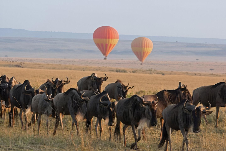 Zanzibar: 3-Daagse Serengeti en Ngorongoro Fly-In Safari